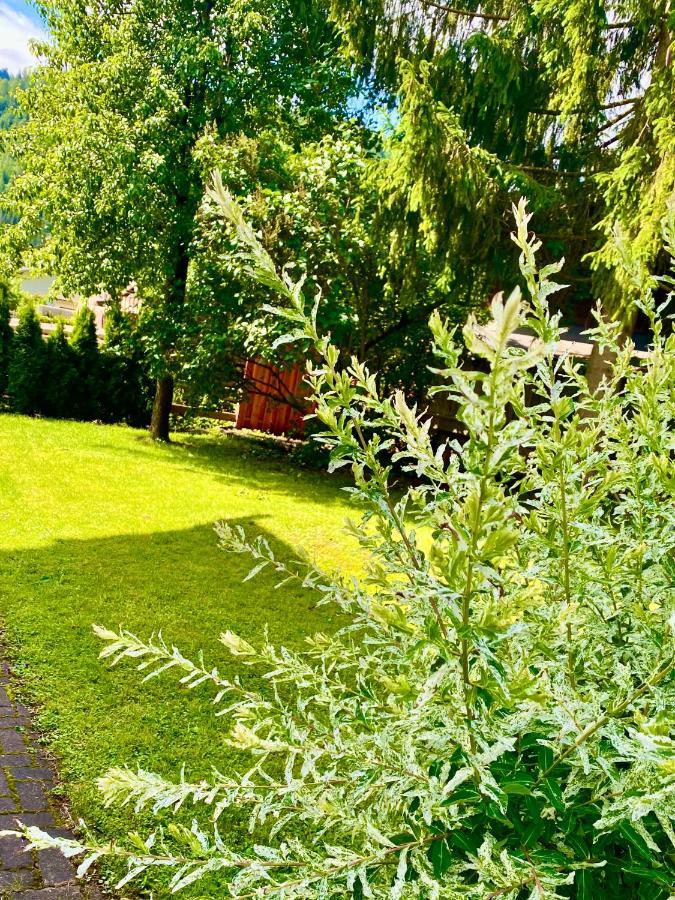 Apartamento Haus Alpenrose Waidring Exterior foto